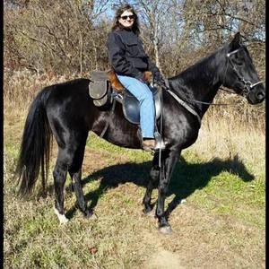 Meet your Posher, Donna